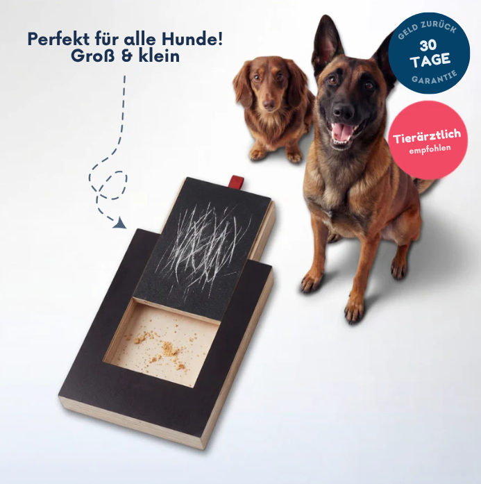 Hundekrallenpflege | Stressfrei & ohne Schneiden