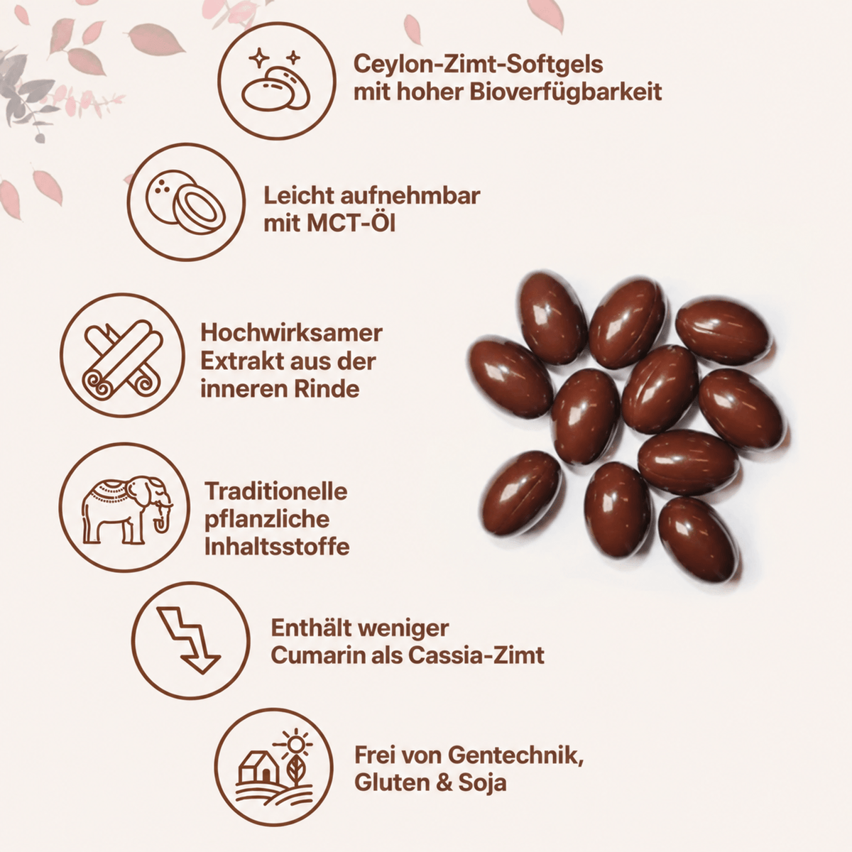 Ceylon Balance™ | Zimt-Softgels mit MCT-Öl