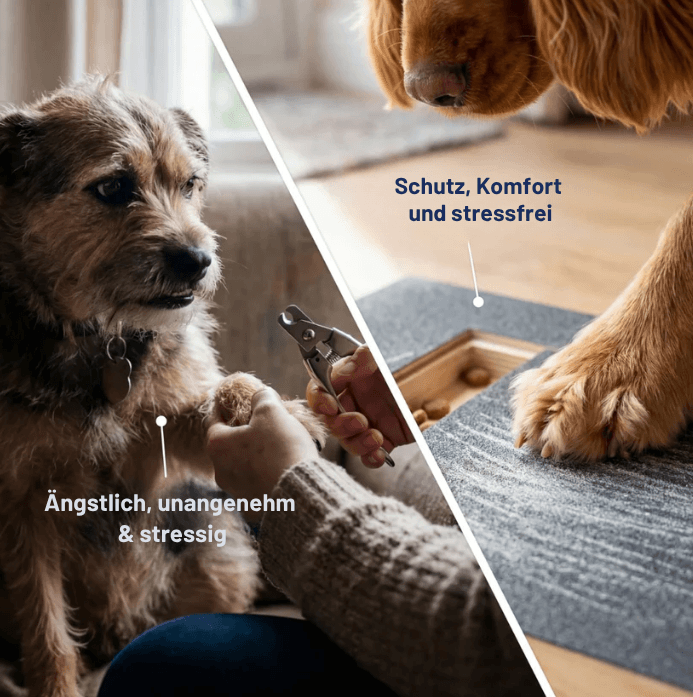 Hundekrallenpflege | Stressfrei & ohne Schneiden