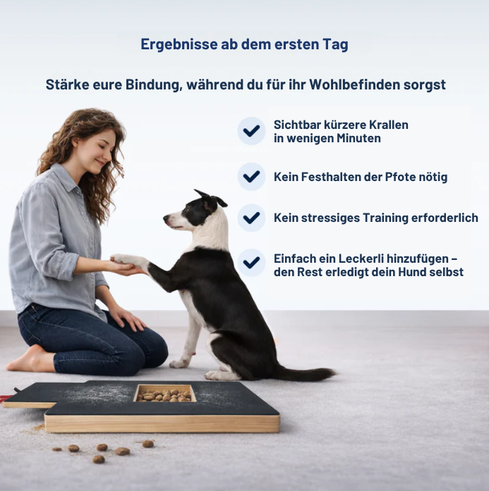 Hundekrallenpflege | Stressfrei & ohne Schneiden