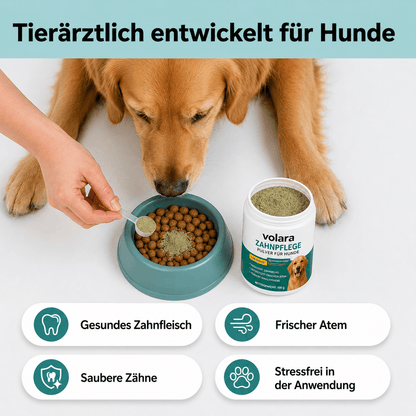 ZahnVital™ | Zahnpflegepulver für Hunde mit frischem Atem