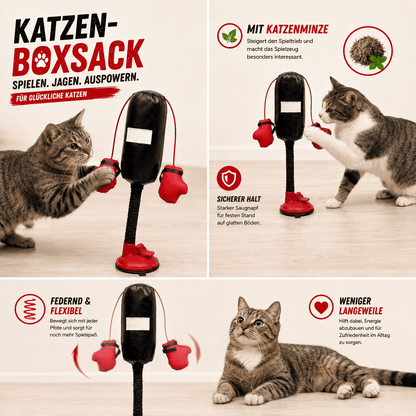 PunchPaw | Interaktiver Katzen-Boxsack