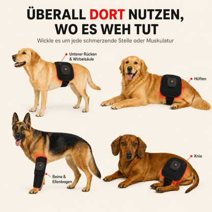 PawGlow Rotlichttherapie-Gürtel für Hunde
