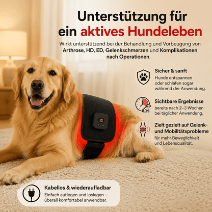 PawGlow Rotlichttherapie-Gürtel für Hunde