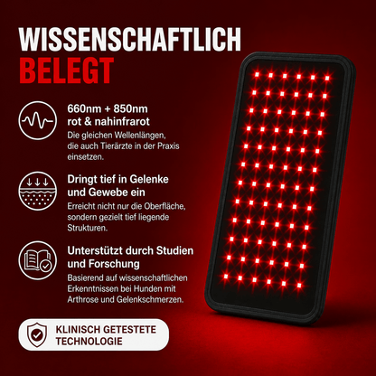 PawGlow Rotlichttherapie-Gürtel für Hunde