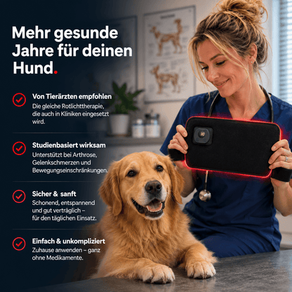 PawGlow Rotlichttherapie-Gürtel für Hunde