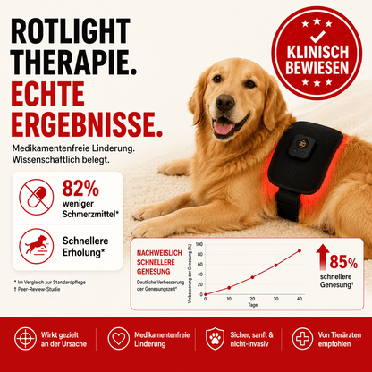 PawGlow Rotlichttherapie-Gürtel für Hunde
