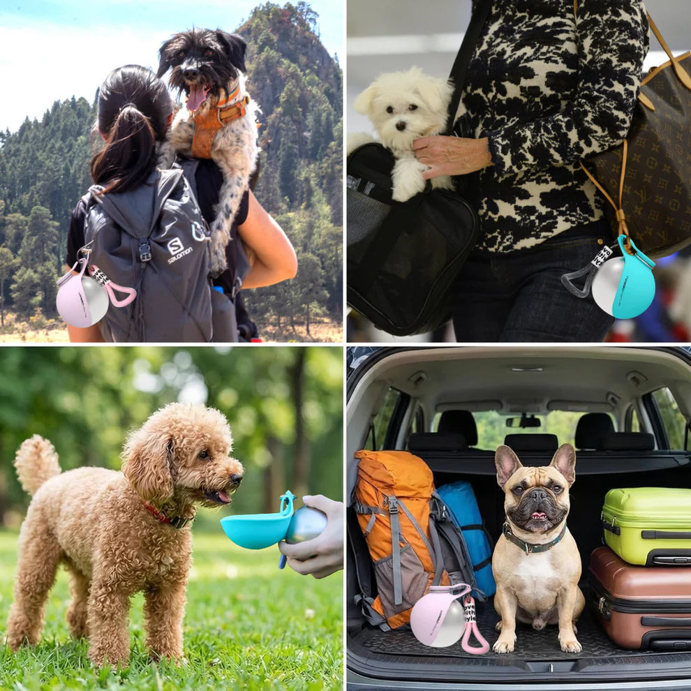 PawDrop™ | 2-in-1 Flasche