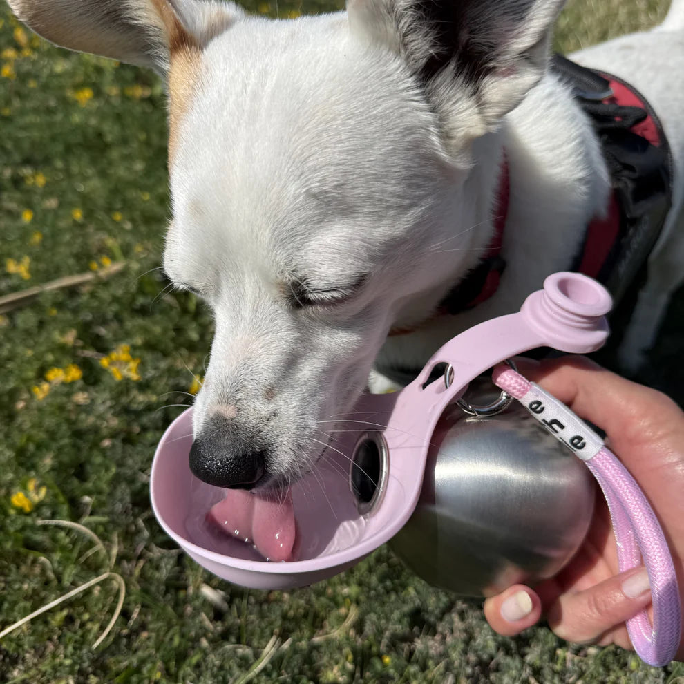 PawDrop™ | 2-in-1 Flasche
