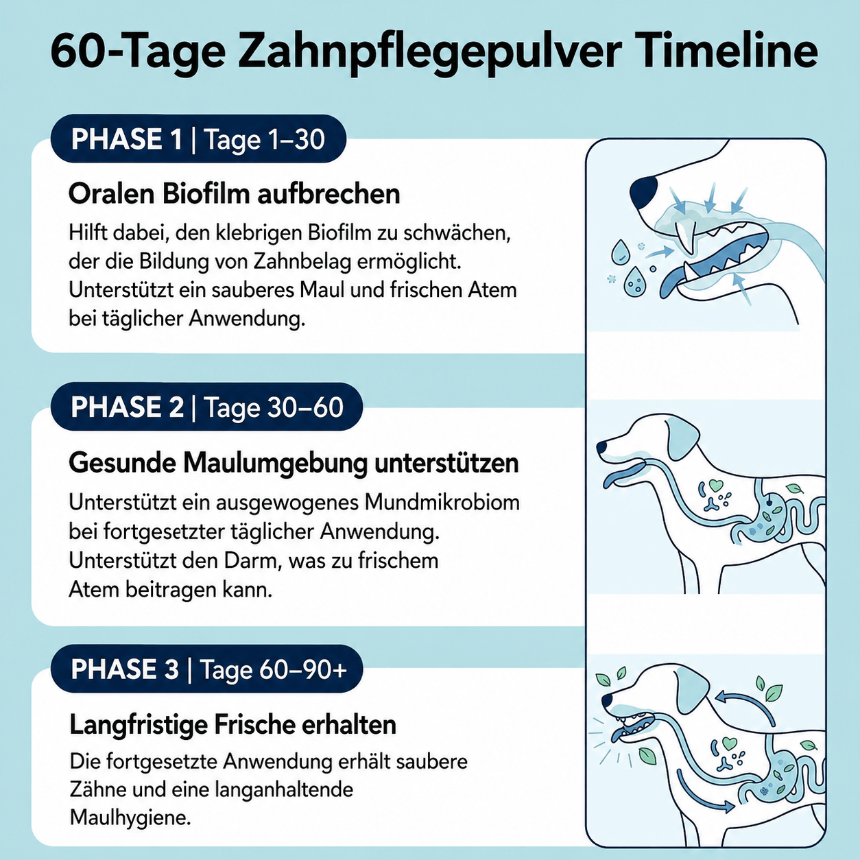 ZahnVital™ | Zahnpflegepulver für Hunde mit frischem Atem