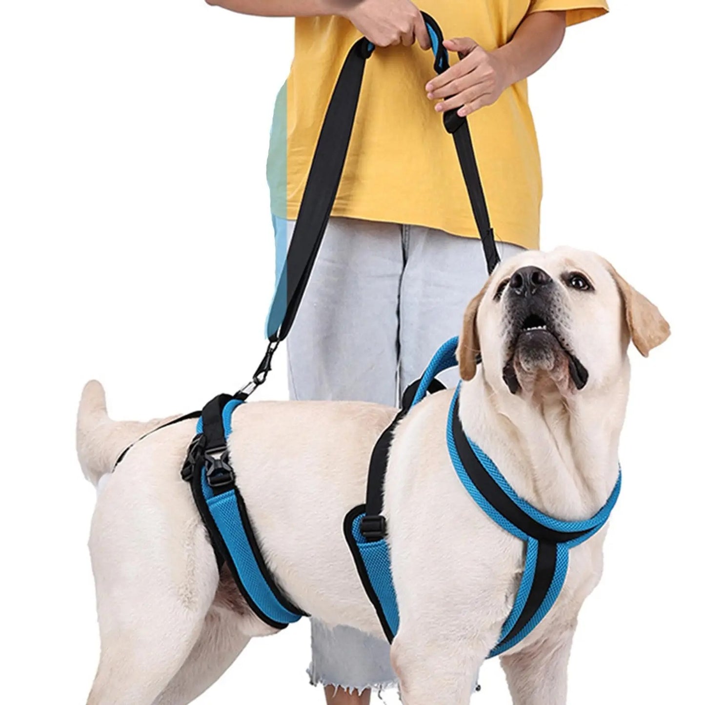 PawLift | Zuverlässige Hebehilfe für Hunde