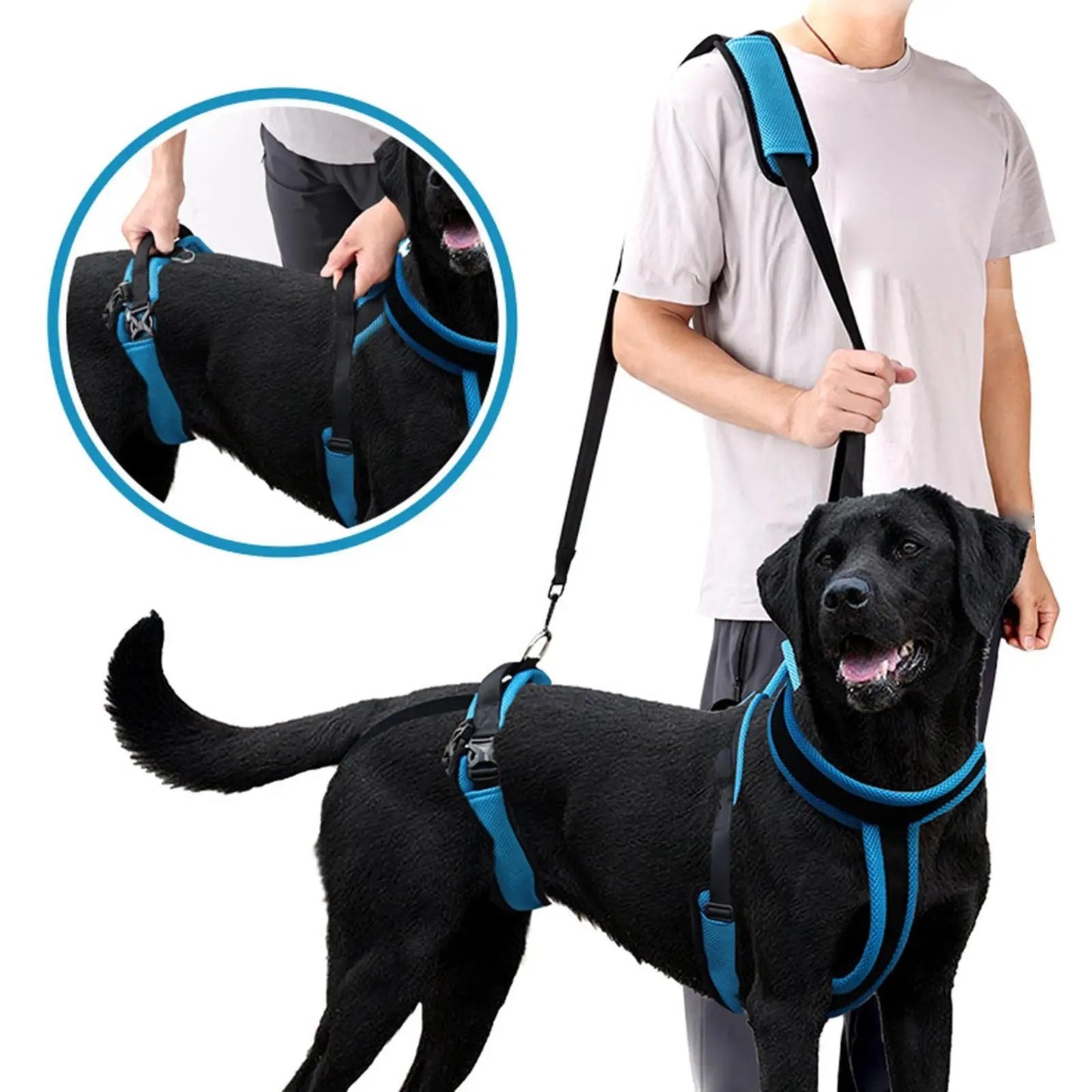 PawLift | Zuverlässige Hebehilfe für Hunde