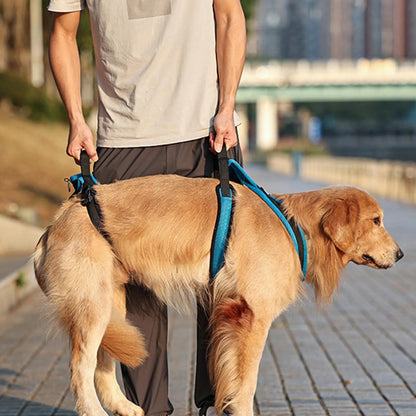 PawLift | Zuverlässige Hebehilfe für Hunde
