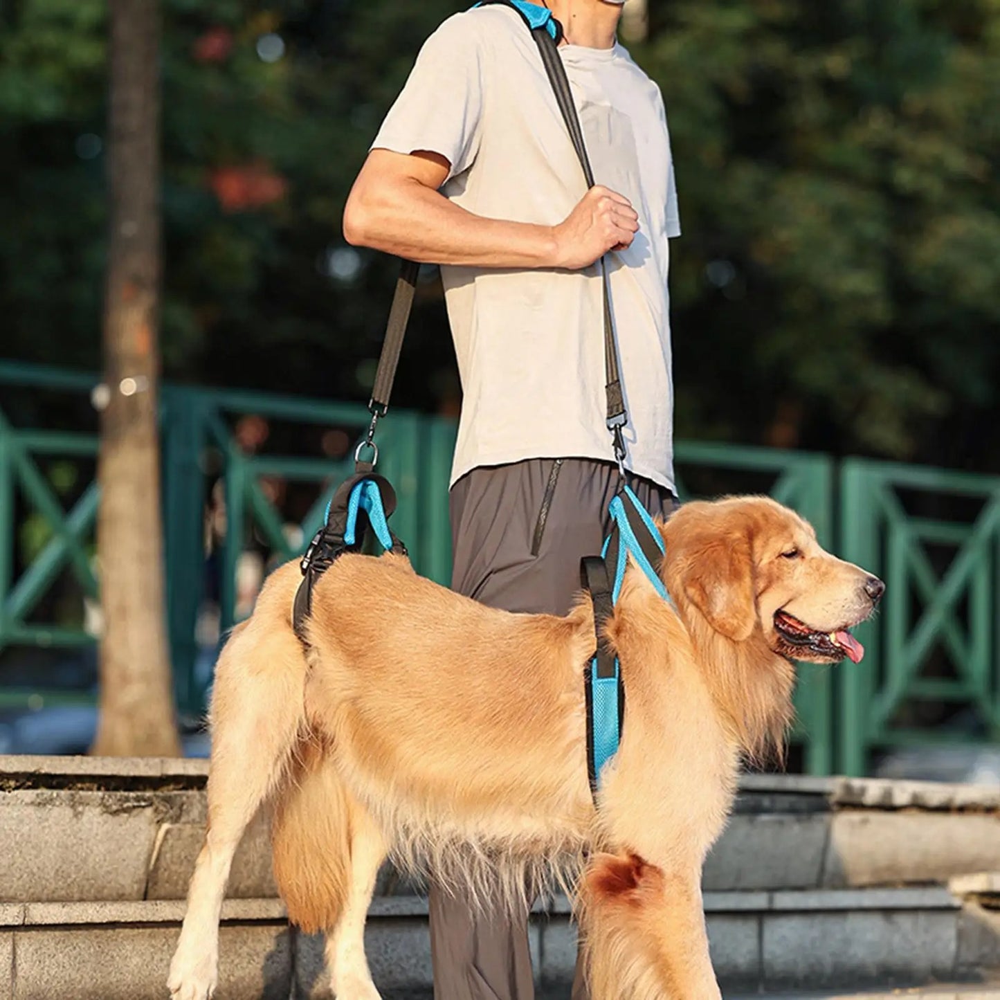PawLift | Zuverlässige Hebehilfe für Hunde